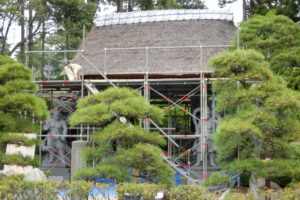 山門屋根　茅葺替大修理　始まる