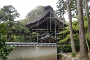 山門屋根　茅葺替大修理　始まる