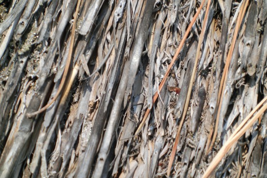 山門屋根　茅葺替大修理・１