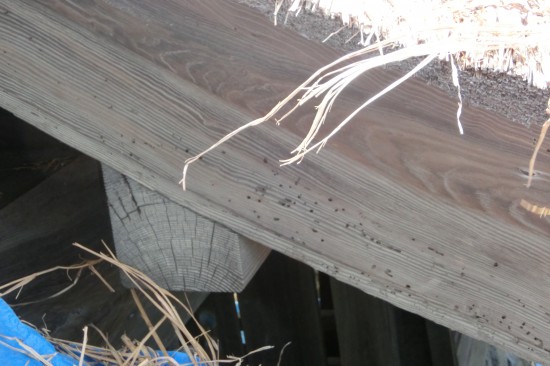 山門屋根　茅葺替大修理・２　江戸時代出現