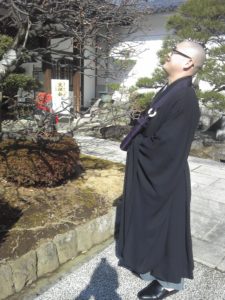 梅花に和尚さん似合いますね、今日は座禅会でした。 花が目立ちませんので、別の老大木「枝垂れ梅」を紹介します。