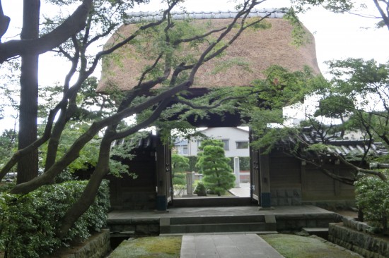 隅田隆蔵さん　天嶽院山門茅葺替を語る