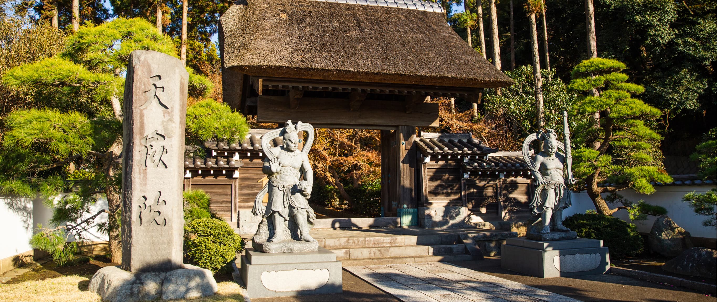 スライドショー　画像