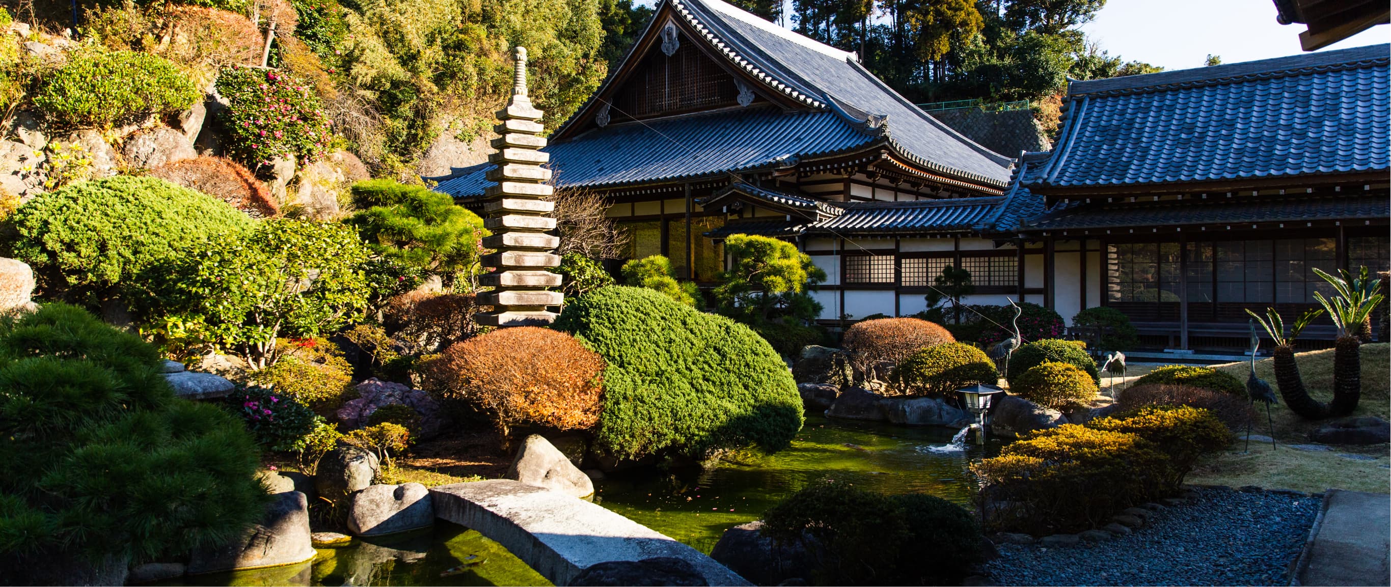 スライドショー　画像